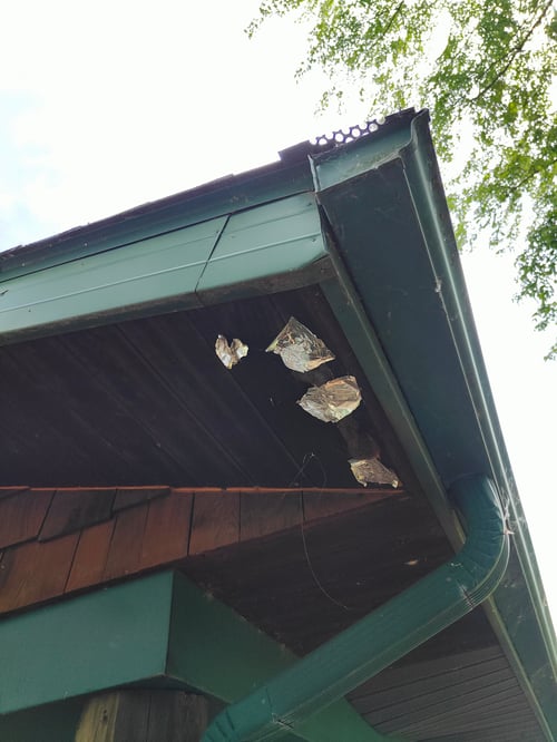 overhang with woodpecker damage